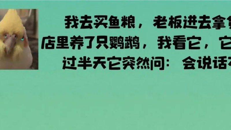 面条加盟店十大品牌对比：揭秘加盟背后的行业秘密
